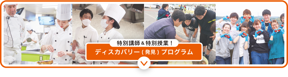 ディスカバリー（発見）プログラム