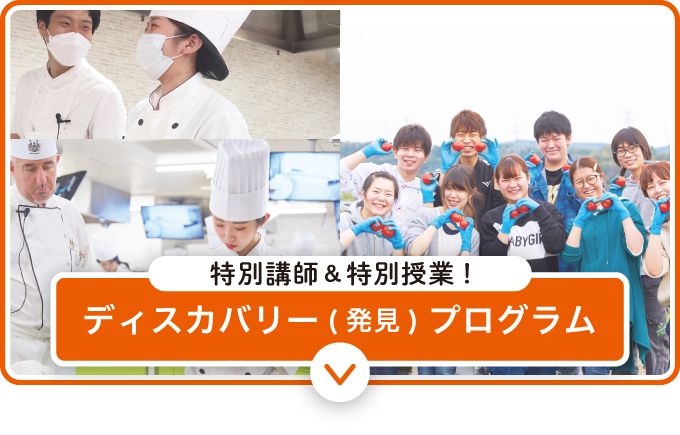 ディスカバリー（発見）プログラム