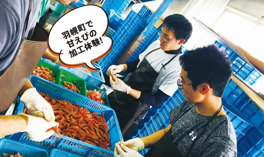 羽幌