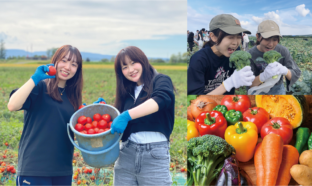 道産食材プログラム
