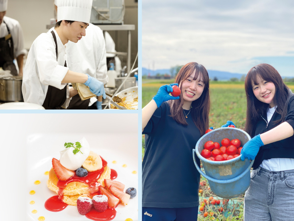 メニュープロデュース