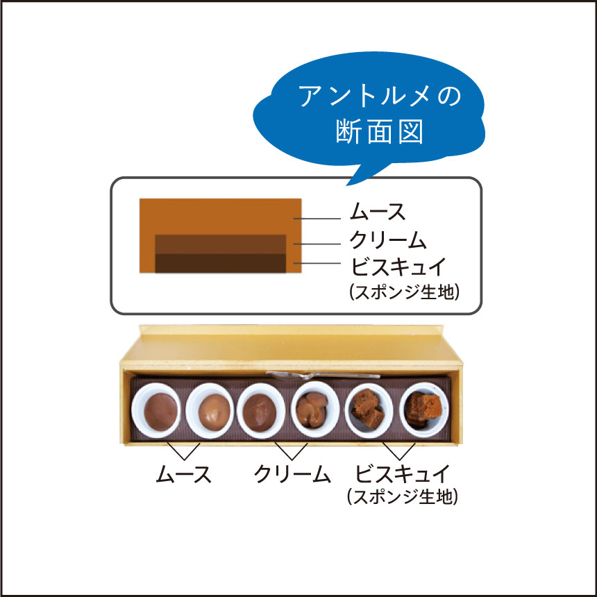 アントルメの断面図