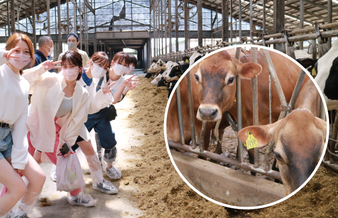 道産食材プログラム