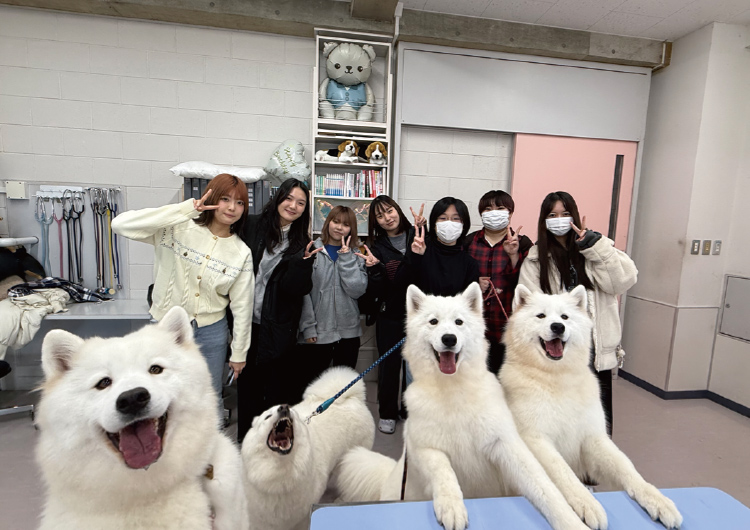 テキストが入ります