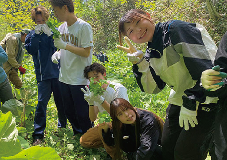 栗山町おでかけ授業 山菜採り