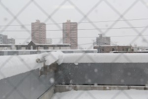 大雪