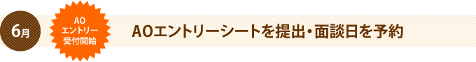 AOエントリーシート提出